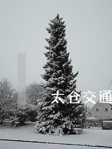 太仓交通事故法律咨询 太仓交通事故法律咨询