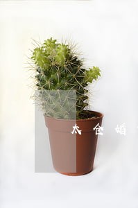 太仓婚前财产婚姻律师哪家好 太仓婚前财产婚姻律师哪家好