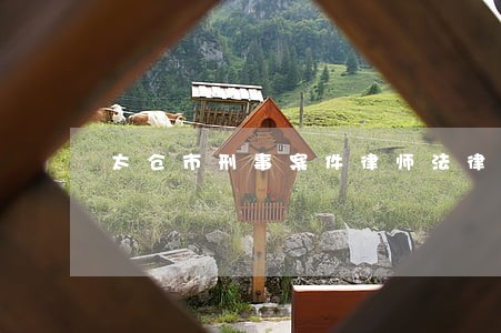 太仓市刑事案件律师法律咨询 太仓市刑事案件律师法律咨询