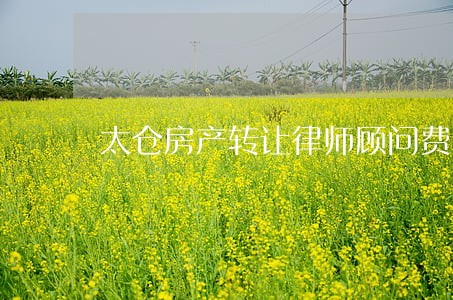 太仓房产转让律师顾问费