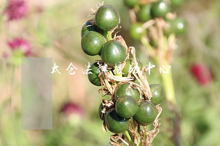 太仓法律援助中心 太仓法律援助中心