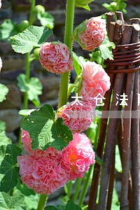太仓法院秦川 太仓法院秦川