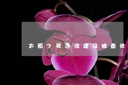 太原7处违法建设被查处 太原7处违法建设被查处