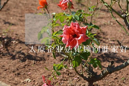 太原企业法律顾问谁家好 太原企业法律顾问谁家好