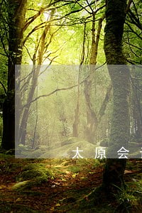 太原会计债务债权案律师