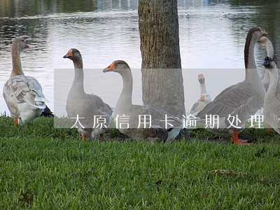 太原信用卡逾期处理 太原信用卡逾期处理