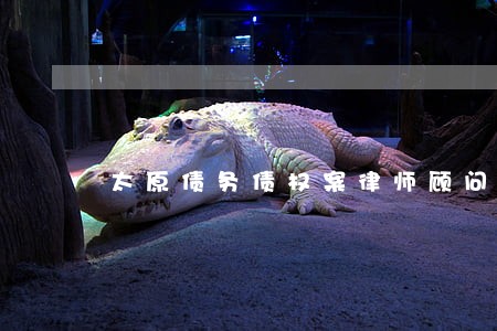 太原债务债权案律师顾问 太原债务债权案律师顾问