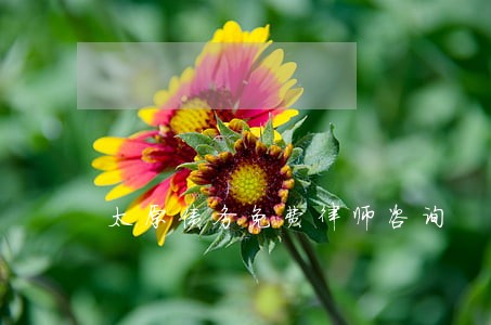 太原债务免费律师咨询 太原债务免费律师咨询