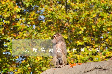 太原债务合同律师网站 太原债务合同律师网站