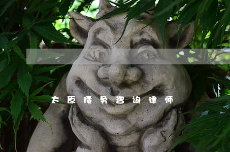 太原债务咨询律师 太原债务咨询律师