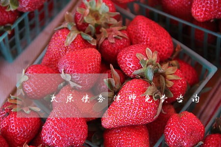 太原债务律师免费咨询 太原债务律师免费咨询