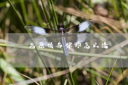 太原债务律师怎么选