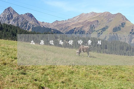 太原债务律师费用 太原债务律师费用
