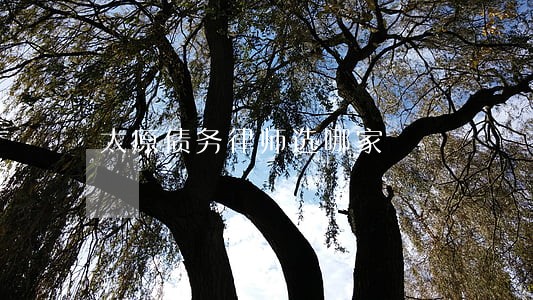 太原债务律师选哪家 太原债务律师选哪家