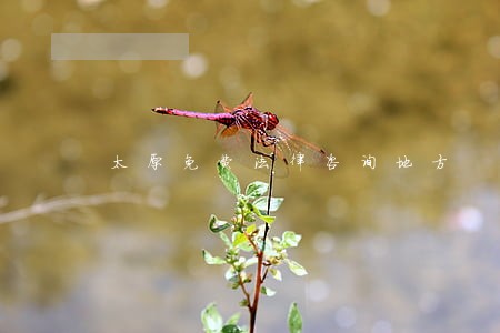 太原免费法律咨询地方 太原免费法律咨询地方