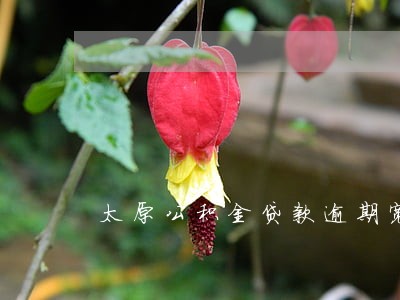 太原公积金贷款逾期宽限 太原公积金贷款逾期宽限