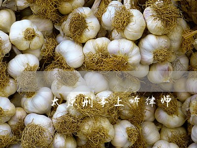 太原刑事上诉律师