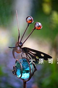 太原司法考试 太原司法考试