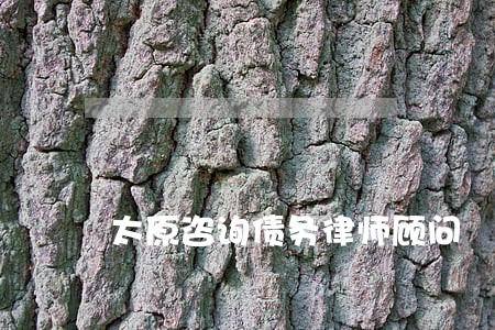 太原咨询债务律师顾问 太原咨询债务律师顾问