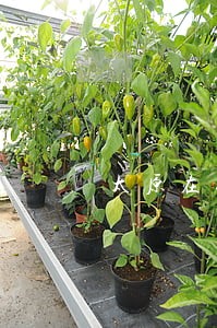 太原在线法律援助 太原在线法律援助