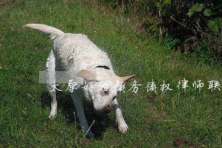 太原好的债务债权律师联系电话 太原好的债务债权律师联系电话