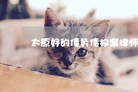 太原好的债务债权案律师 太原好的债务债权案律师