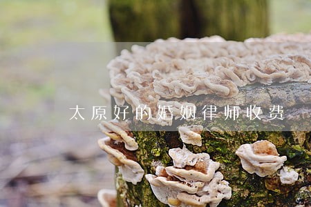 太原好的婚姻律师收费 太原好的婚姻律师收费