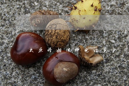 太原婚姻律师电话多少 太原婚姻律师电话多少