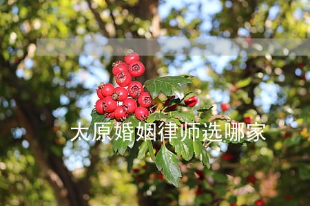 太原婚姻律师选哪家 太原婚姻律师选哪家