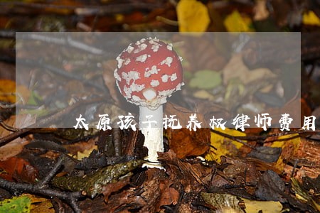 太原孩子抚养权律师费用把握细节 太原孩子抚养权律师费用把握细节