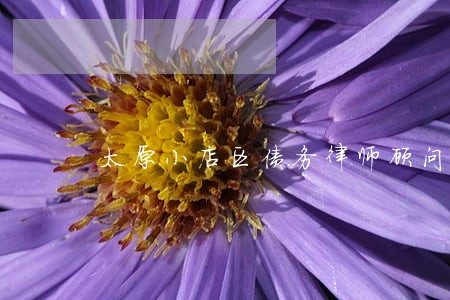 太原小店区债务律师顾问 太原小店区债务律师顾问