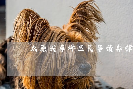 太原尖草坪区民事债务律师 太原尖草坪区民事债务律师
