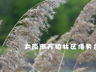 太原市万柏林区债务合同律师收费 太原市万柏林区债务合同律师收费