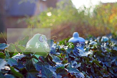 太原市专业劳动合同律师联系方式