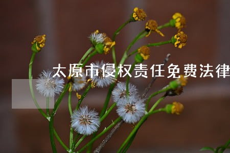 太原市侵权责任免费法律咨询 太原市侵权责任免费法律咨询