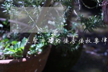 太原市好的债务债权案律师谁家好 太原市好的债务债权案律师谁家好