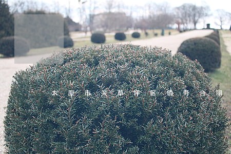 太原市尖草坪区债务合同律师排行 太原市尖草坪区债务合同律师排行