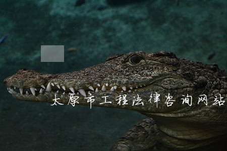 太原市工程法律咨询网站 太原市工程法律咨询网站