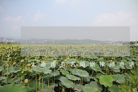 太原市有名婚姻律师电话 太原市有名婚姻律师电话