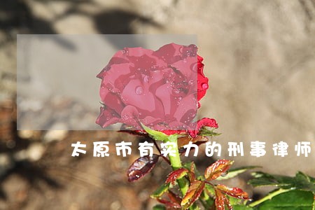 太原市有实力的刑事律师哪个好 太原市有实力的刑事律师哪个好
