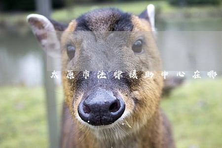 太原市法律援助中心在哪里 太原市法律援助中心在哪里