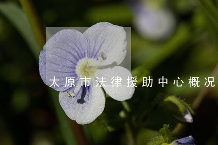 太原市法律援助中心概况