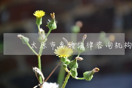 太原市离婚法律咨询机构 太原市离婚法律咨询机构