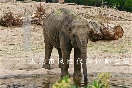 太原市风险代理律师出庭收费 太原市风险代理律师出庭收费