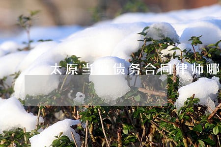 太原当地债务合同律师哪个好 太原当地债务合同律师哪个好