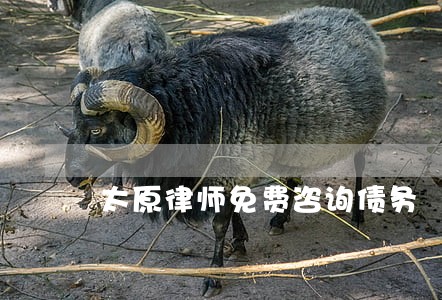太原律师免费咨询债务 太原律师免费咨询债务