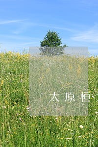 太原恒大集团法律顾问 太原恒大集团法律顾问
