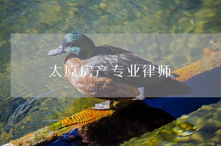 太原房产专业律师 太原房产专业律师