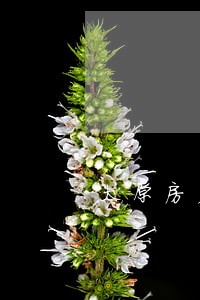 太原房产物业纠纷律师