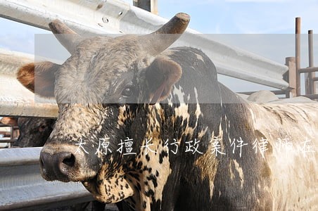 太原擅长行政案件律师在线咨询 太原擅长行政案件律师在线咨询